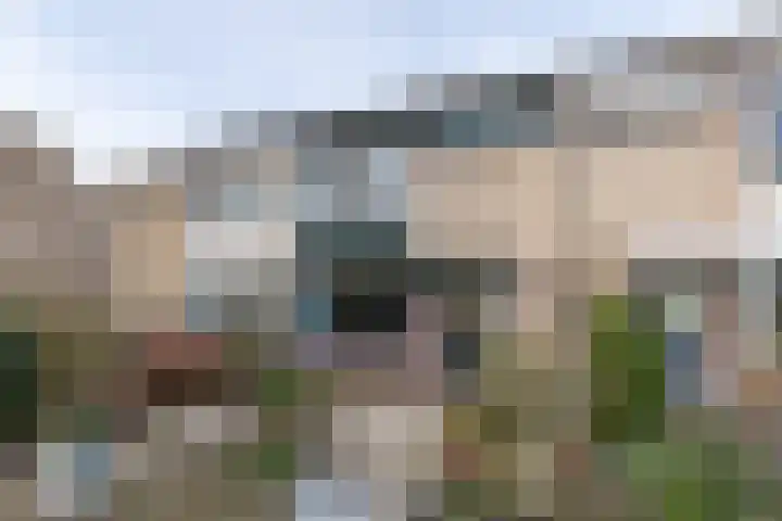 Boompjesven 55 Heemskerk thumbnail 33