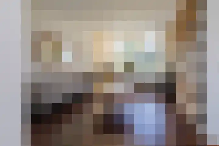 Boompjesven 77 Heemskerk thumbnail 11