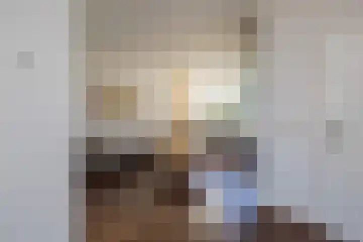 Boompjesven 77 Heemskerk thumbnail 12