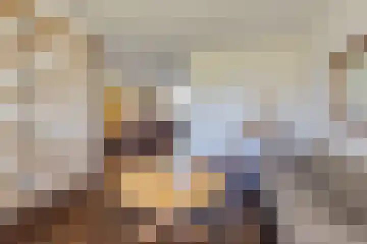Boompjesven 77 Heemskerk thumbnail 13