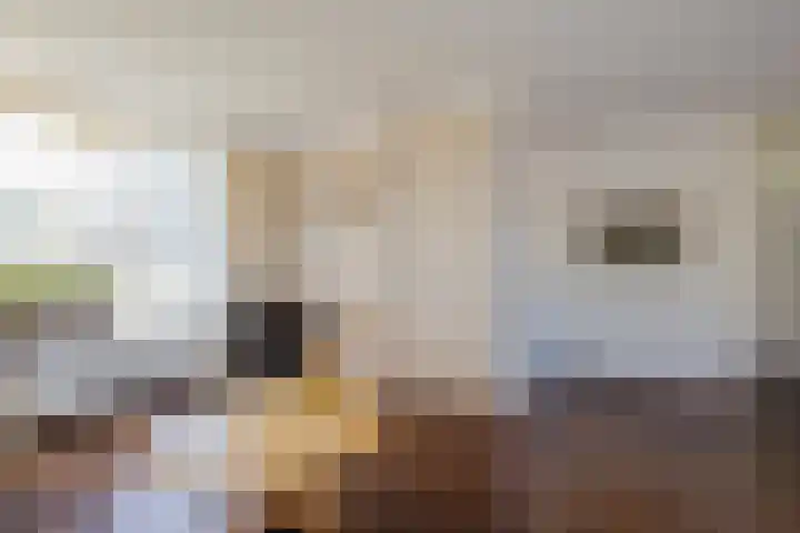 Boompjesven 77 Heemskerk thumbnail 14