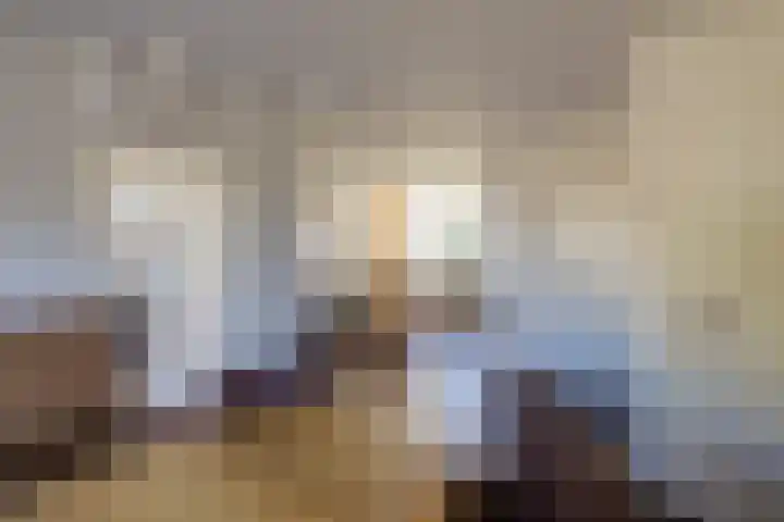 Boompjesven 77 Heemskerk thumbnail 18
