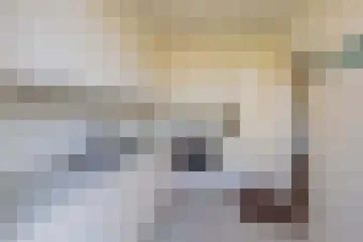 Boompjesven 77 Heemskerk thumbnail 19