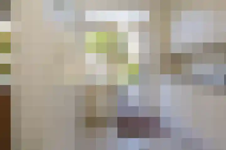 Boompjesven 77 Heemskerk thumbnail 21