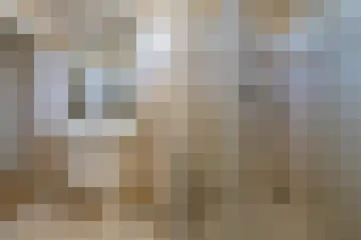 Boompjesven 77 Heemskerk thumbnail 27