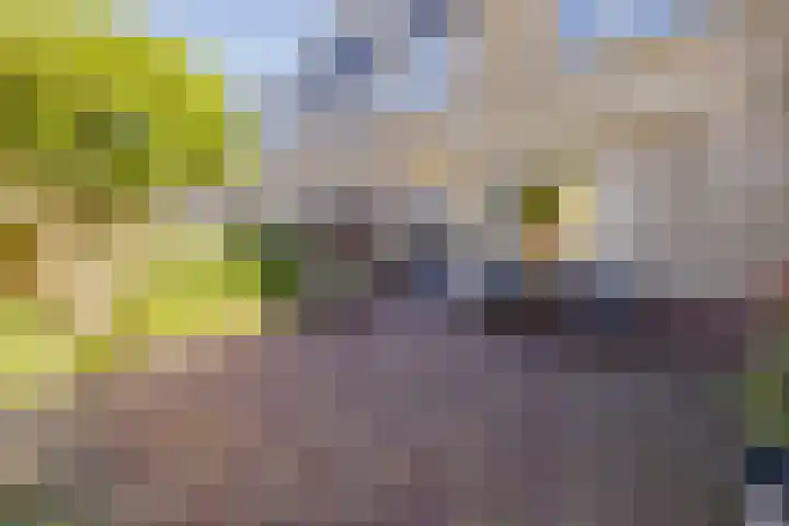 Boompjesven 77 Heemskerk thumbnail 42