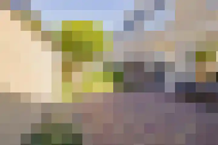 Boompjesven 77 Heemskerk thumbnail 43