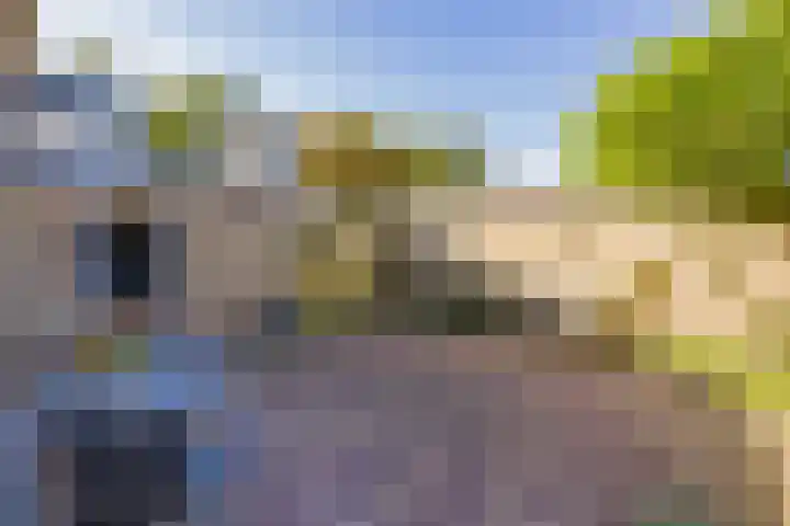 Boompjesven 77 Heemskerk thumbnail 44