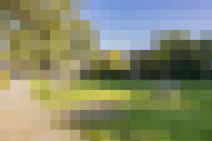 Boompjesven 77 Heemskerk thumbnail 49