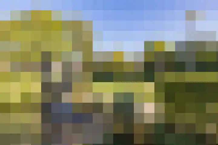 Boompjesven 77 Heemskerk thumbnail 5
