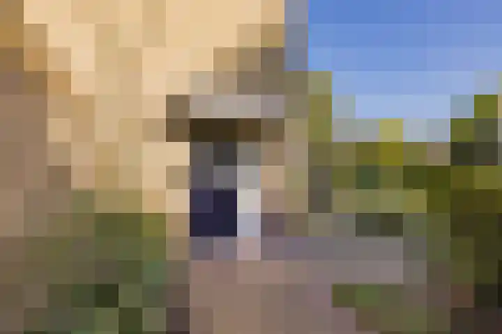 Boompjesven 77 Heemskerk thumbnail 6