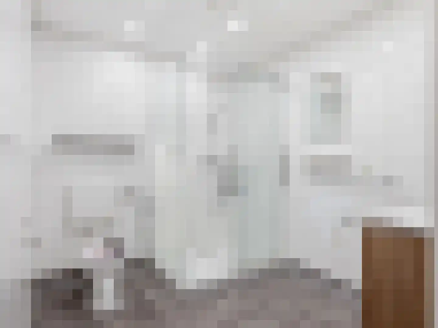 Boompjeswal 22 Zutphen thumbnail 11