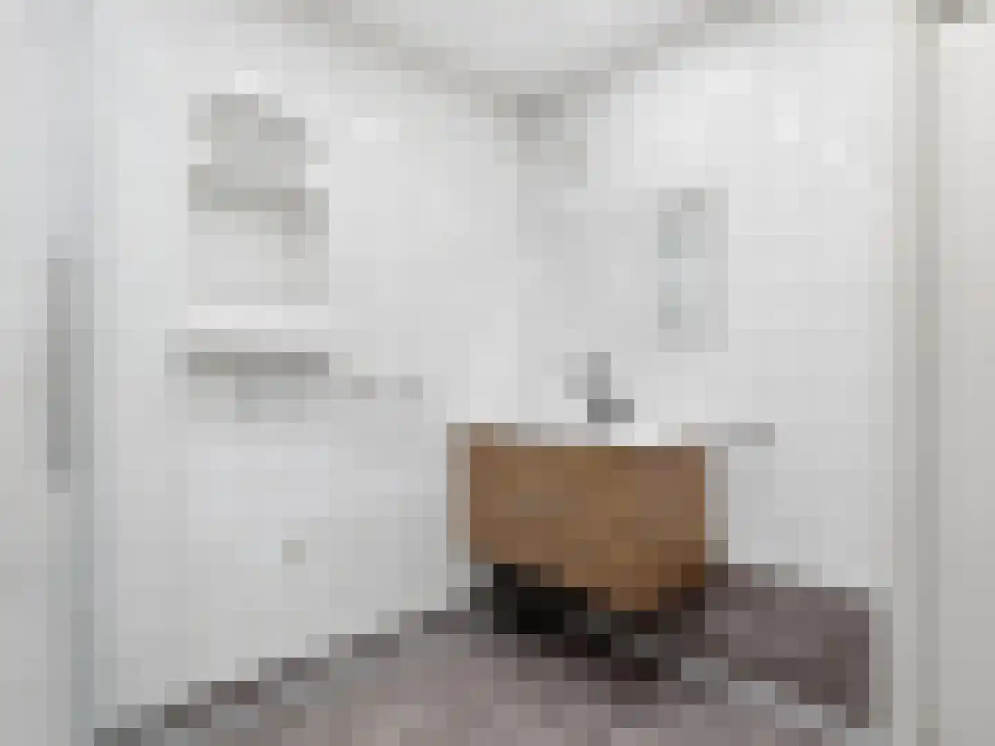 Boompjeswal 22 Zutphen thumbnail 13