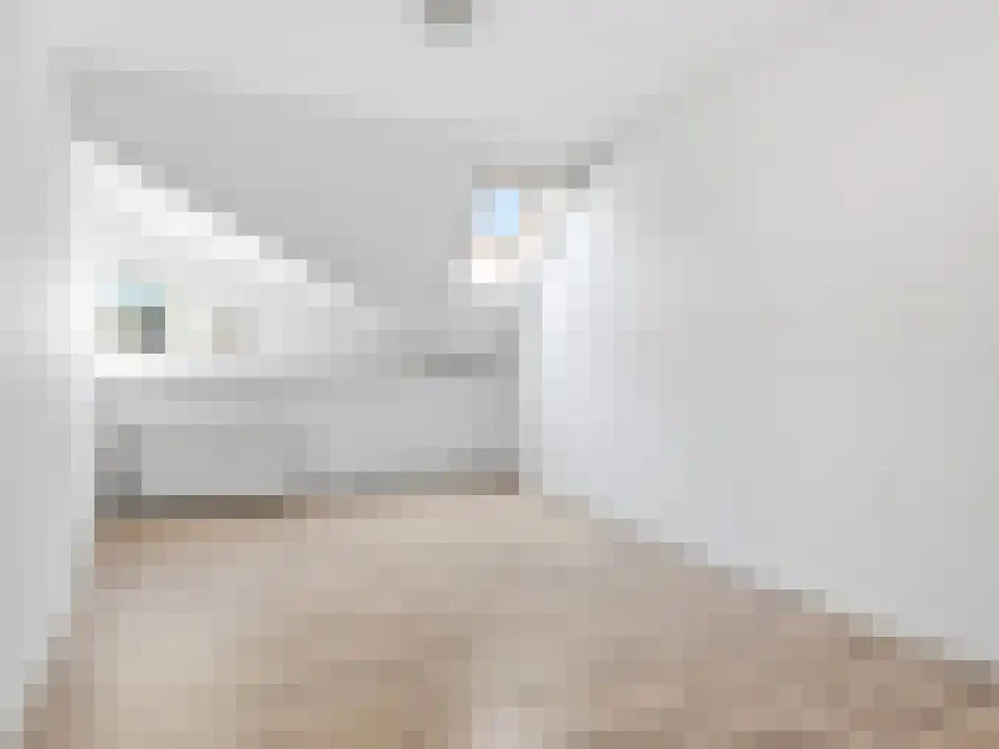Boompjeswal 22 Zutphen thumbnail 14
