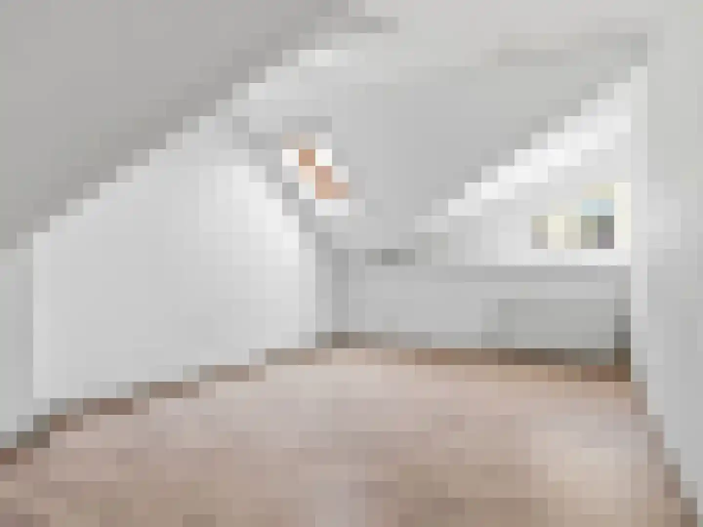 Boompjeswal 22 Zutphen thumbnail 15