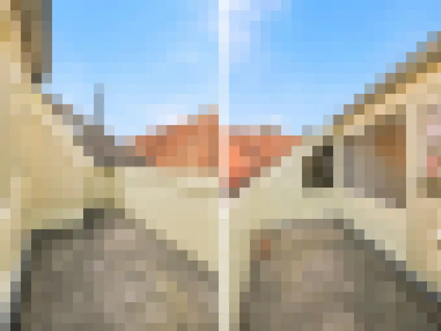 Boompjeswal 22 Zutphen thumbnail 19