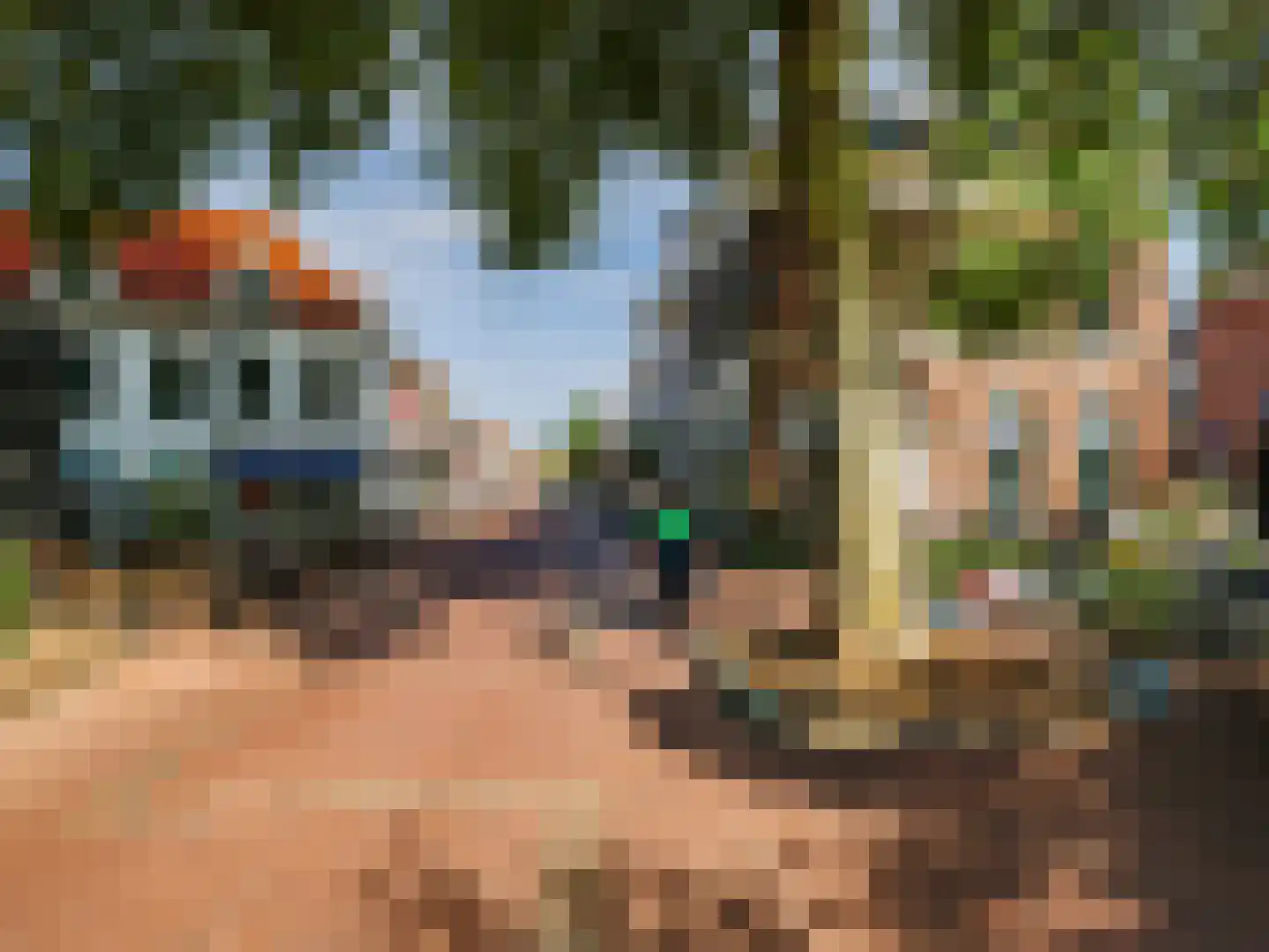 Boompjeswal 22 Zutphen thumbnail 5