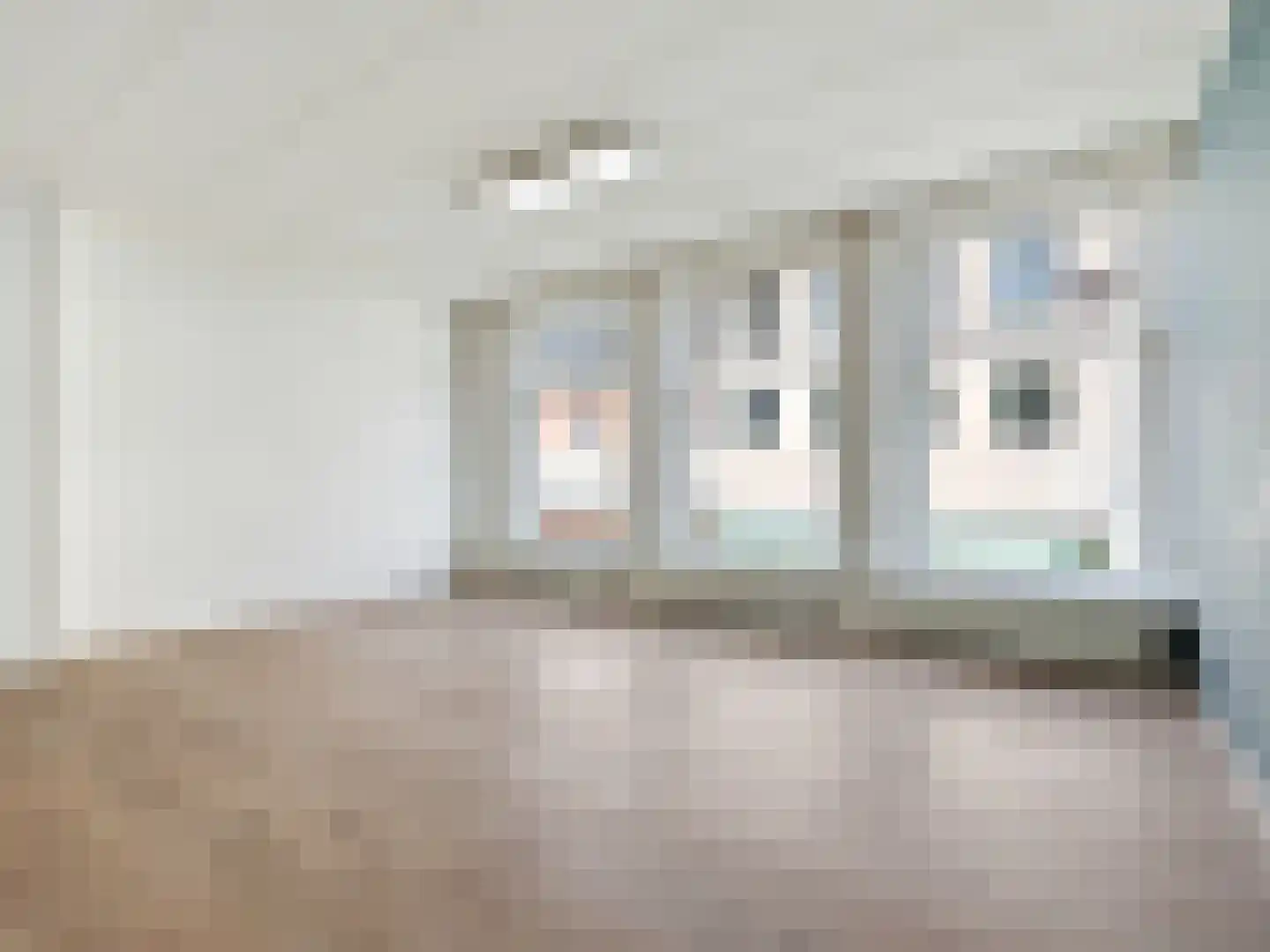 Boompjeswal 22 Zutphen thumbnail 7