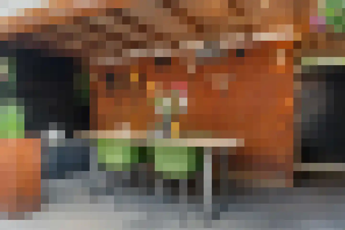 Boomrijk 39 Amersfoort thumbnail 22