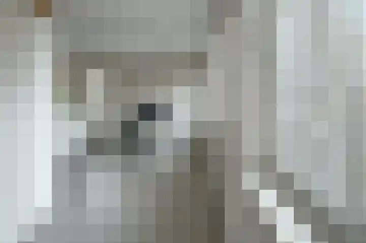 Boomschillerij 13 Waalre thumbnail 13
