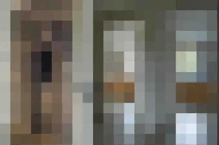 Boomschillerij 13 Waalre thumbnail 15