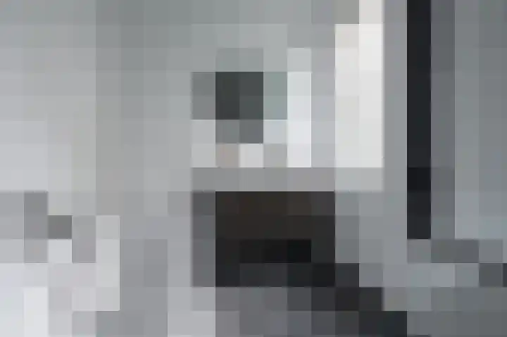 Boomschillerij 13 Waalre thumbnail 16