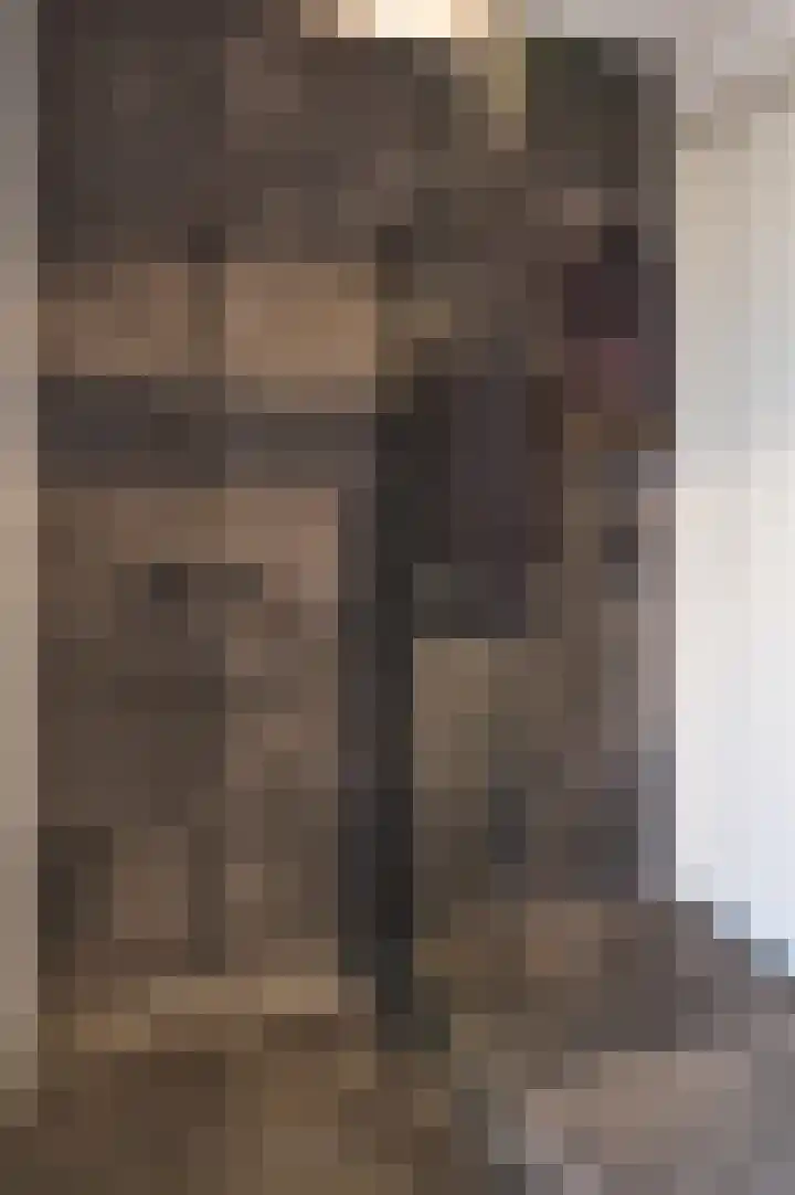 Boomschillerij 13 Waalre thumbnail 17