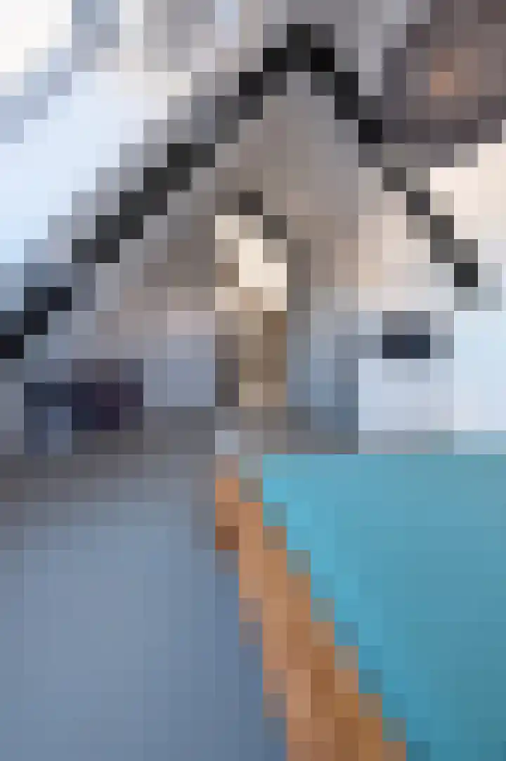 Boomschillerij 13 Waalre thumbnail 19