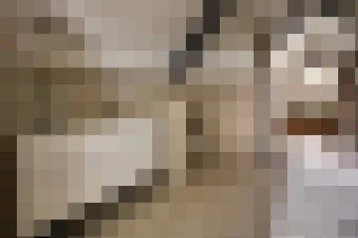 Boomschillerij 13 Waalre thumbnail 21