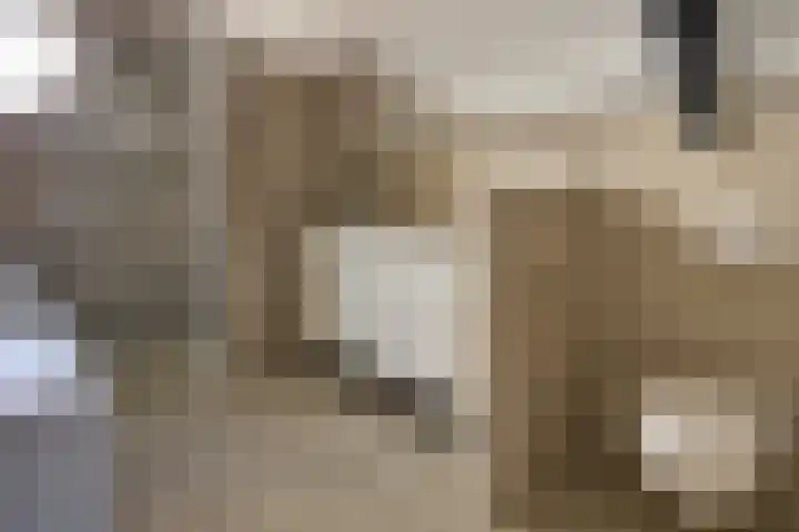 Boomschillerij 13 Waalre thumbnail 22