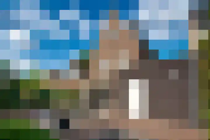Boomschillerij 13 Waalre thumbnail 24