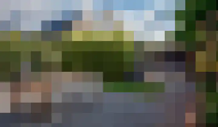 Boomschillerij 13 Waalre thumbnail 25