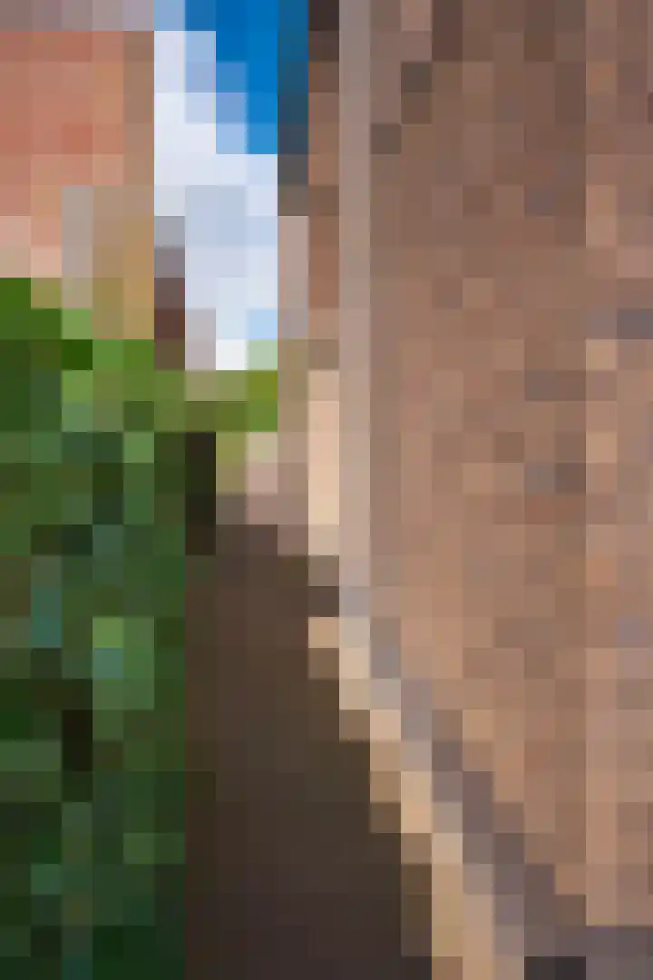 Boomschillerij 13 Waalre thumbnail 28