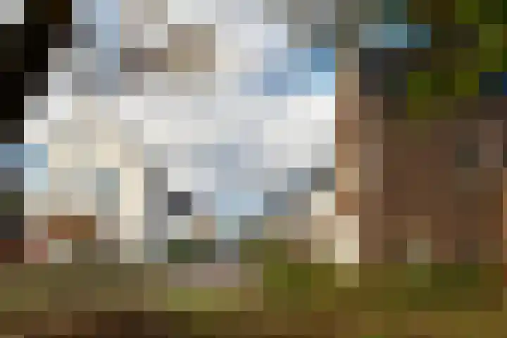 Boomschillerij 13 Waalre thumbnail 29