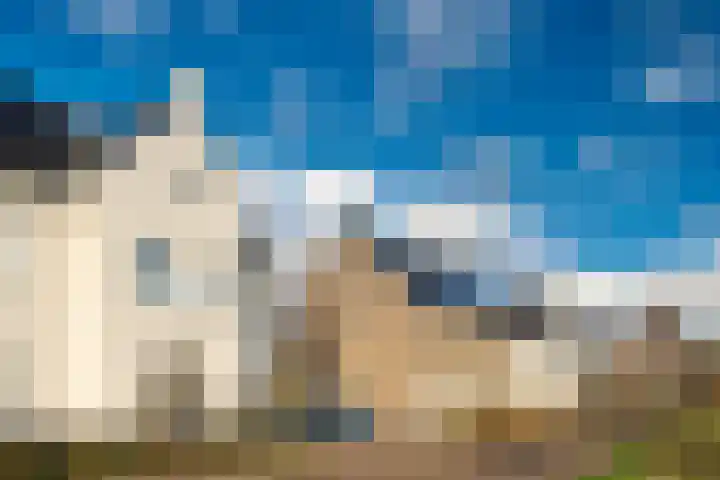 Boomschillerij 13 Waalre thumbnail 30