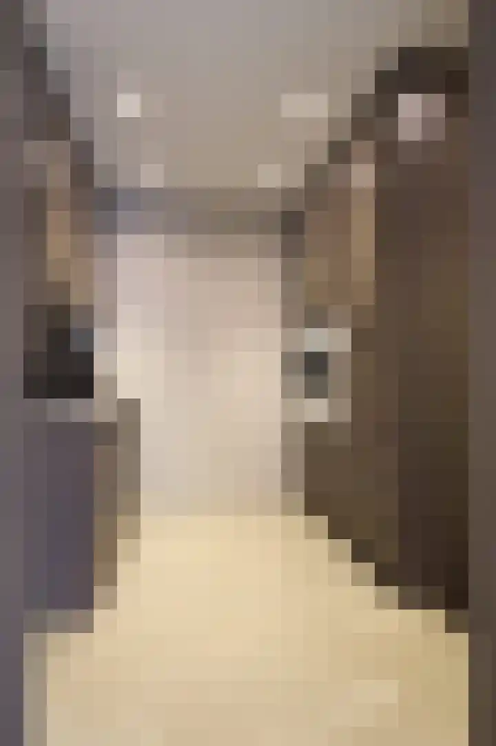 Boomschillerij 13 Waalre thumbnail 8