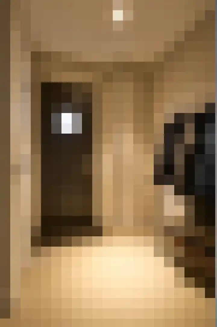 Boomschillerij 13 Waalre thumbnail 9