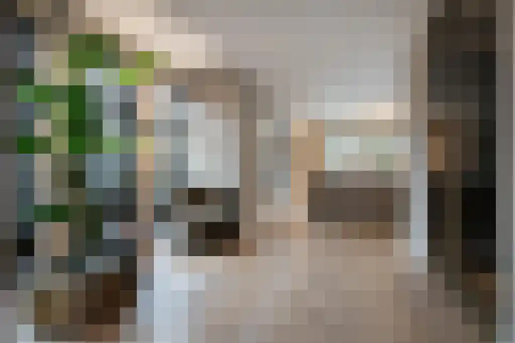 Boomschillerij 2 Waalre thumbnail 15