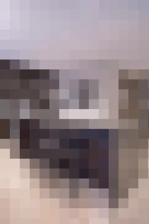 Boomschillerij 2 Waalre thumbnail 21