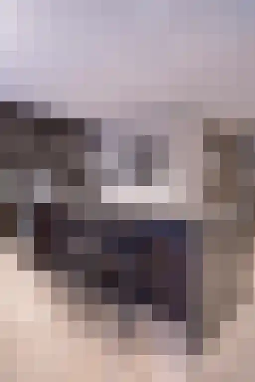 Boomschillerij 2 Waalre thumbnail 21