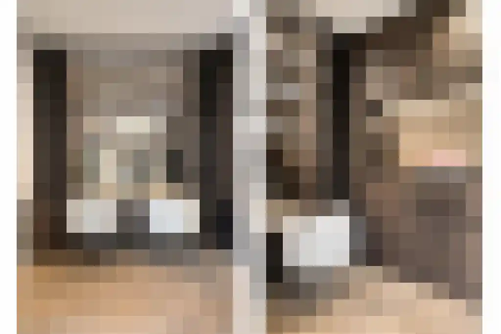 Boomschillerij 2 Waalre thumbnail 28