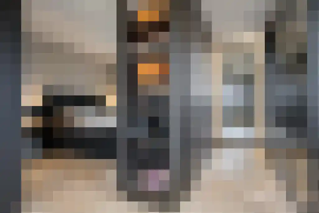 Boomschillerij 2 Waalre thumbnail 38