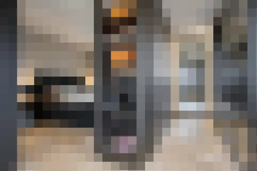 Boomschillerij 2 Waalre thumbnail 38