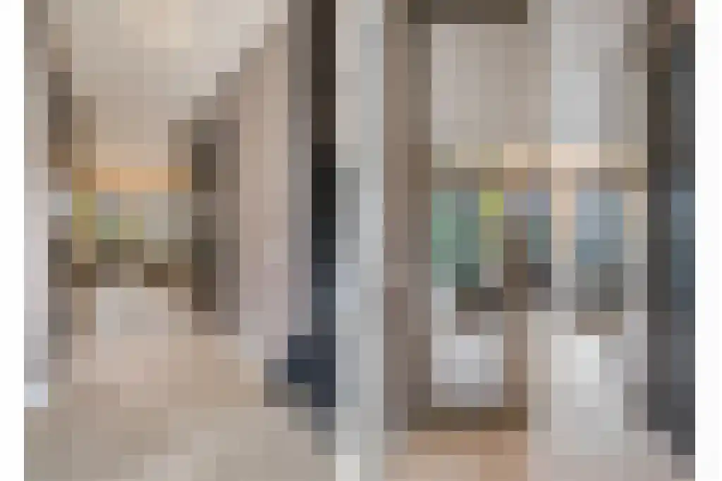 Boomschillerij 2 Waalre thumbnail 4