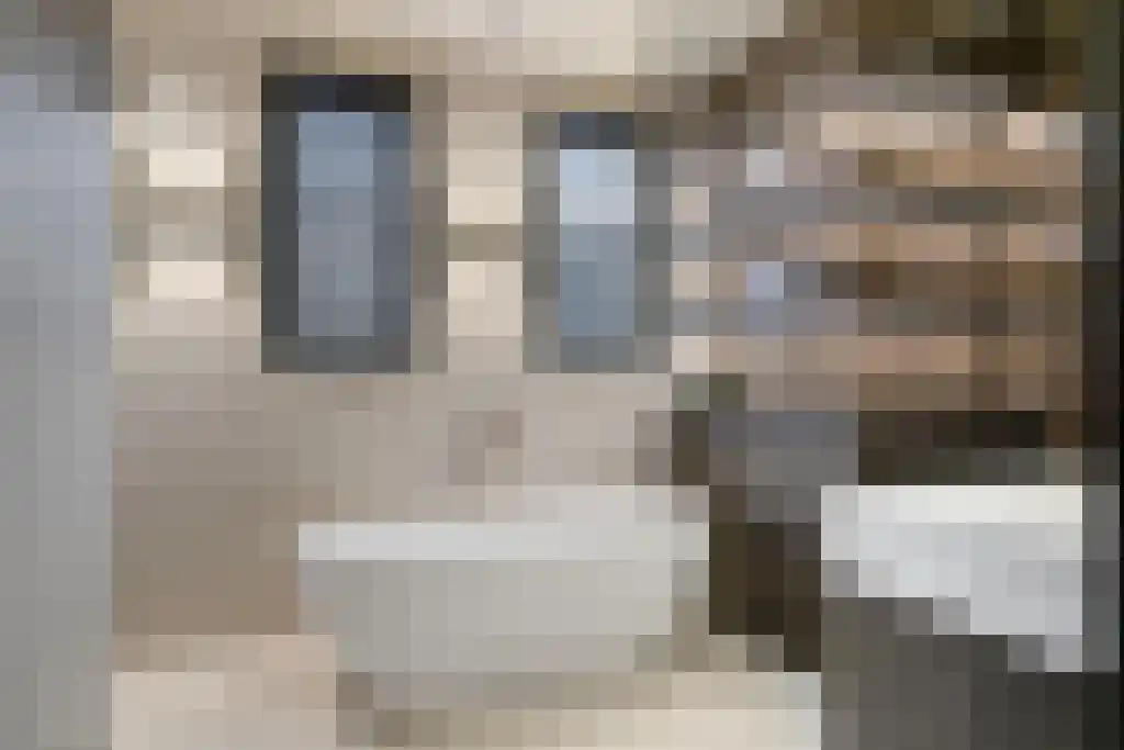Boomschillerij 2 Waalre thumbnail 40