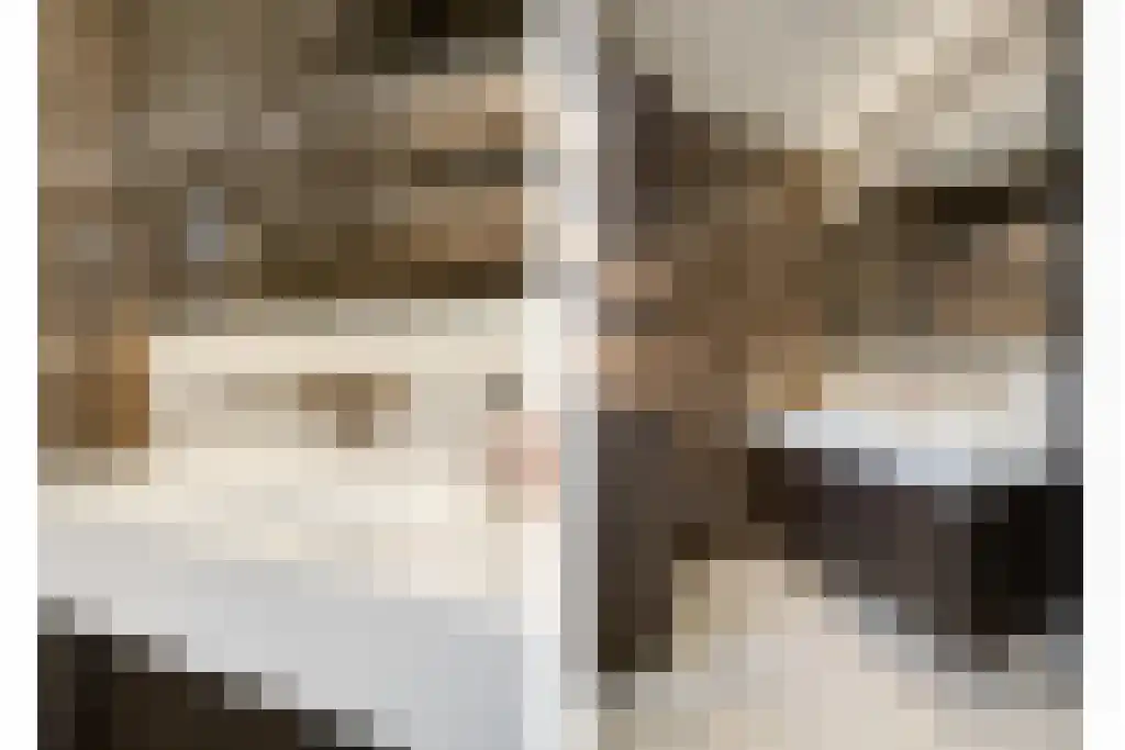 Boomschillerij 2 Waalre thumbnail 42