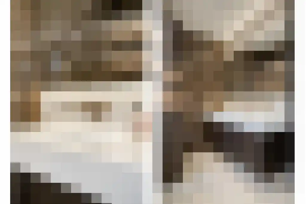 Boomschillerij 2 Waalre thumbnail 42
