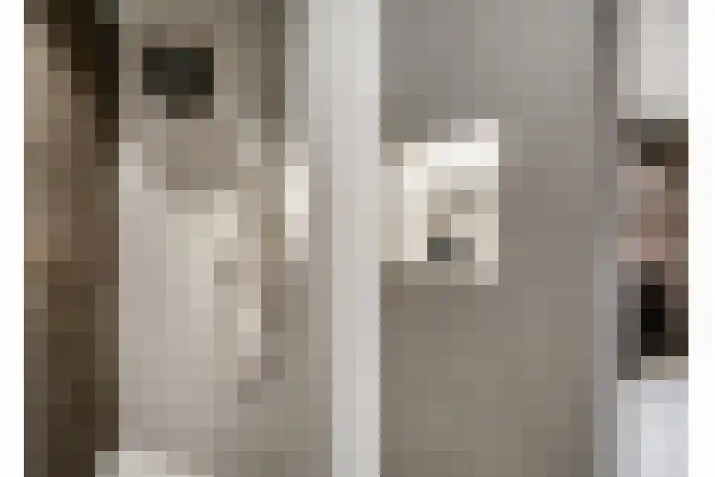 Boomschillerij 2 Waalre thumbnail 44