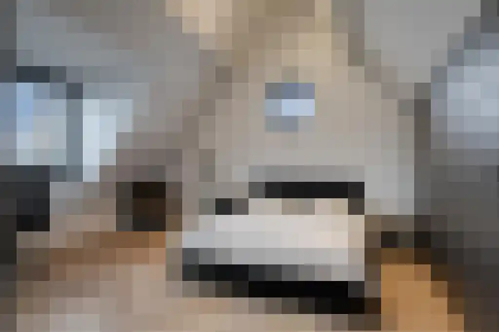 Boomschillerij 2 Waalre thumbnail 48