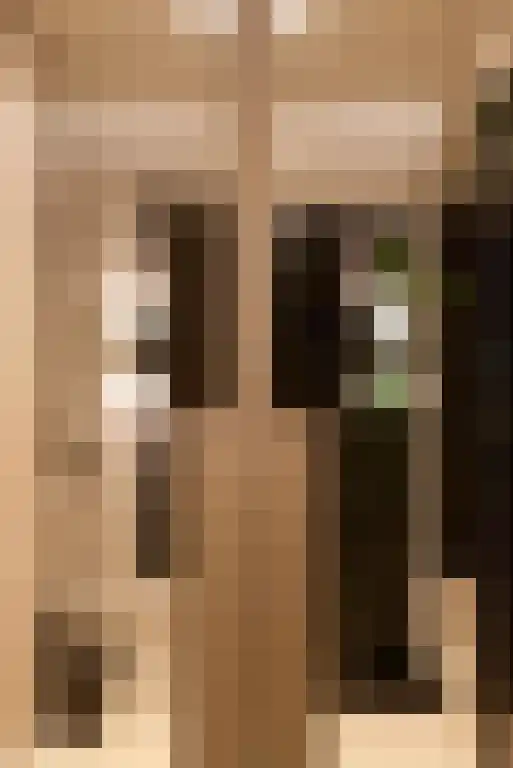 Boomschillerij 2 Waalre thumbnail 5